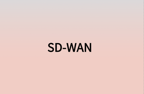 對(duì)企業(yè)而言，SD-WAN意味著什么?