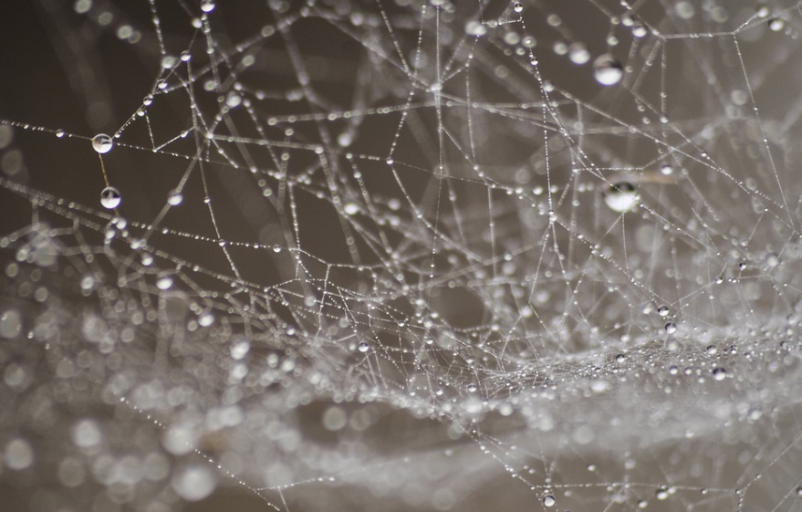 企業(yè)在首次部署SD-WAN技術(shù)時(shí)有什么購買標(biāo)準(zhǔn)?