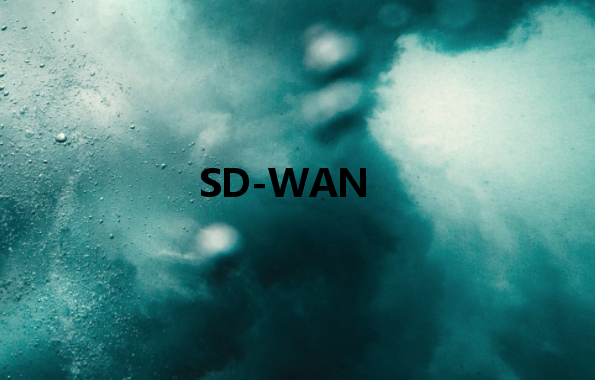 SD-WAN：使通過(guò)公共網(wǎng)絡(luò)傳輸?shù)臄?shù)據(jù)像專(zhuān)用網(wǎng)絡(luò)一樣安全
